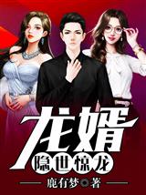 龙婿：隐世惊龙