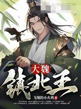 大魏镇北王！
