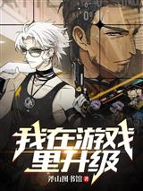 我在游戏里升级