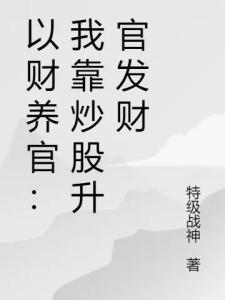 以财养官：我靠炒股升官发财