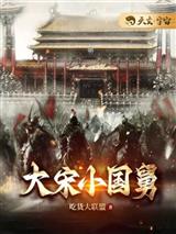大宋小国舅