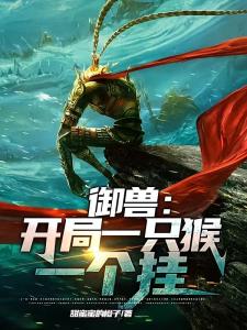 御兽：我有一个简化系统
