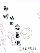 那时偷偷恋着他