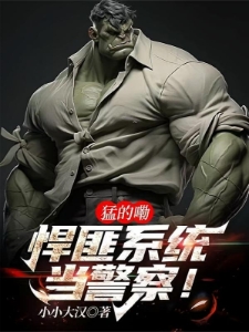 我一个警察，怎么给我悍匪系统！