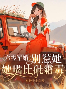 六零军婚：那两口子嘴都挺毒