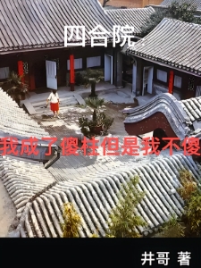 四合院：何雨柱的精彩人生