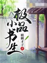 极品小书生