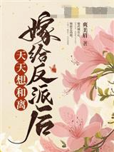 嫁给反派后天天想和离