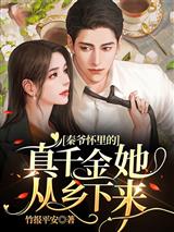 秦爷怀里的真千金她从乡下来