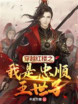 穿越红楼之我是忠顺王世子