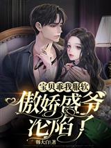 宝贝乖我服软，傲娇盛爷沦陷了