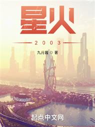 星火2003