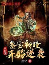 鉴宝神瞳：从捡漏开始逆袭