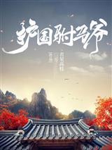 护国驸马爷